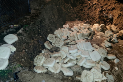 होली से पहले बड़ी कार्रवाई: यूपी में 1,200 किलो मिलावटी पनीर और 900 किलो दूषित खोया जब्त