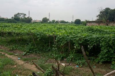 फरीदाबाद का होगा विस्तार: 12 नए सेक्टर बसाने के लिए 19 गांवों की 4500 एकड़ जमीन खरीदेगी हरियाणा सरकार