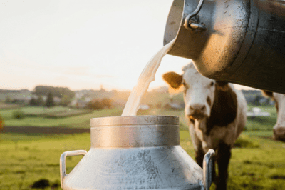 रेवाड़ी और अंबाला में बनेंगे नए मिल्क प्लांट — 600 करोड़ का निवेश