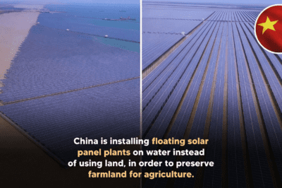 चीन का बड़ा झटका! पानी पर तैरते सोलर पैनल — खेती की जमीन बचाने का चौंकाने वाला तरीका अभी जानिए